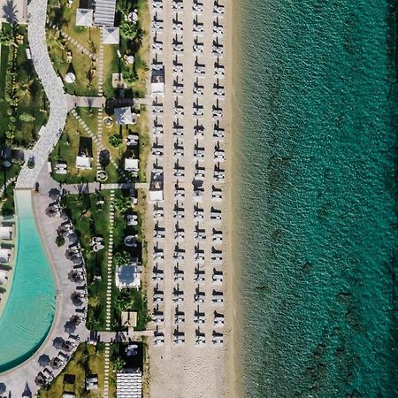 Blue Carpet Luxury Suites 佩科霍里 外观 照片